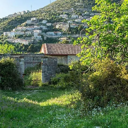 Color - South Paradise 3 Apartment Himare