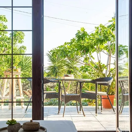 Apartment Color - South Paradise 3 *