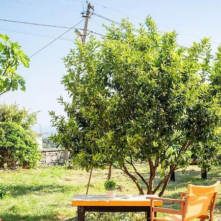 Color - South Paradise 3 * Himara