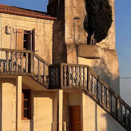 Color - South Paradise 3