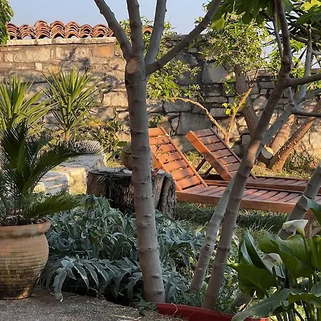 Apartament Color - South Paradise 3