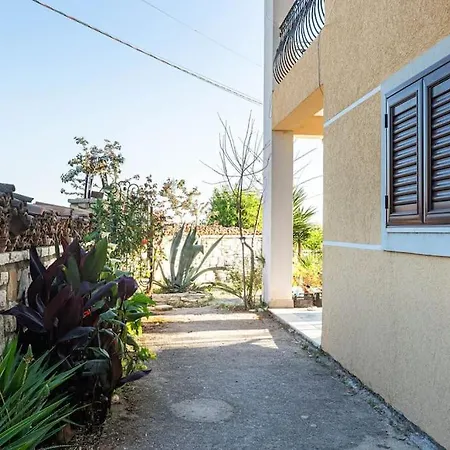 Color - South Paradise 3