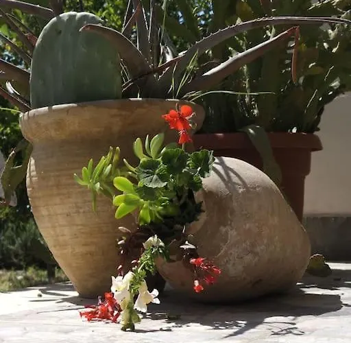 Color - South Paradise 3 Apartament