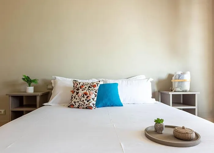 Color - South Paradise 3