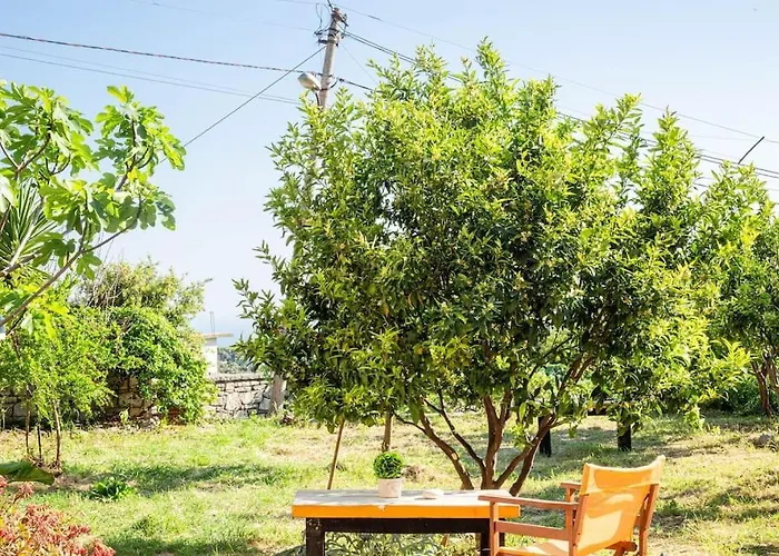 Color - South Paradise 3 * Himara