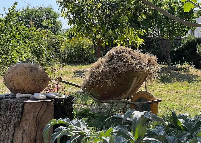 Apartament Color - South Paradise 3 Himara