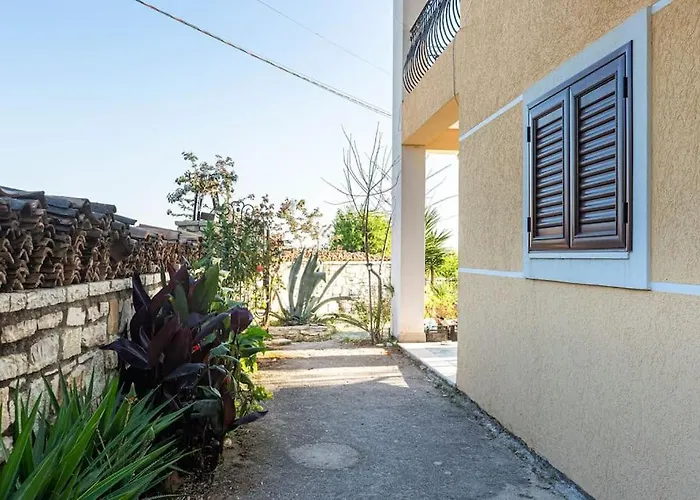 Color - South Paradise 3