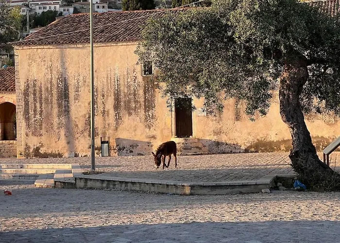 Color - South Paradise 3